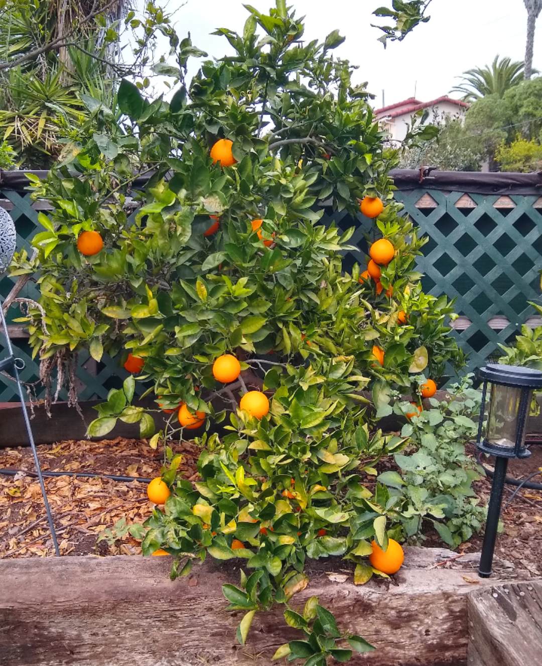 858